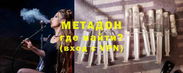 хмурый Аркадак