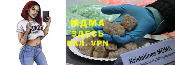 хмурый Аркадак