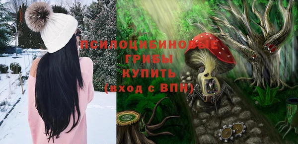тгк Арсеньев
