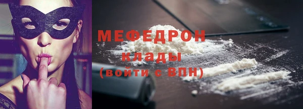 хмурый Аркадак
