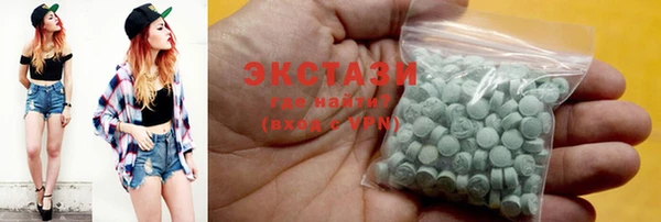 хмурый Аркадак