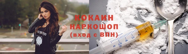 хмурый Аркадак