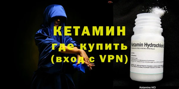 хмурый Аркадак