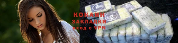 тгк Арсеньев