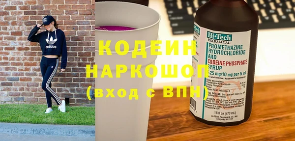 хмурый Аркадак