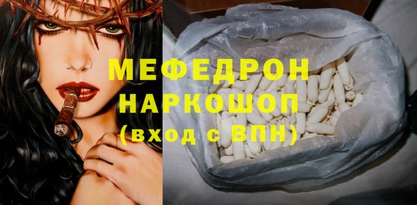 хмурый Аркадак