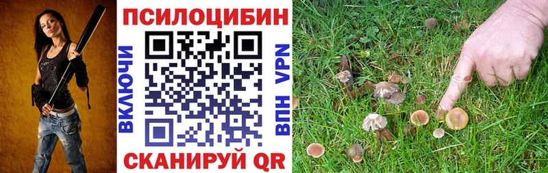 продажа наркотиков  Белоусово  Галлюциногенные грибы прущие грибы 